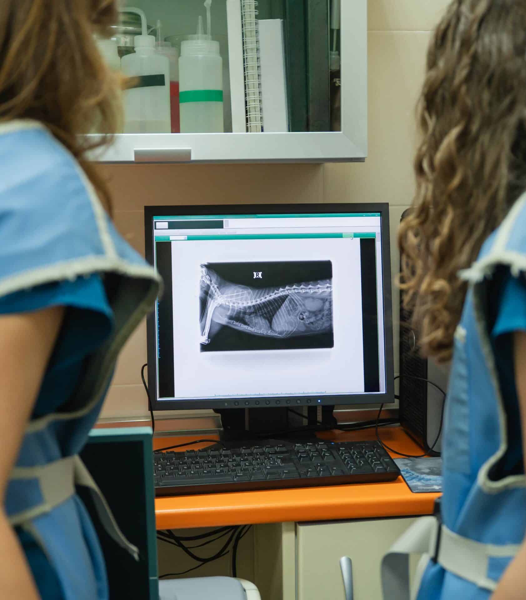 Digital Radiology for Pets