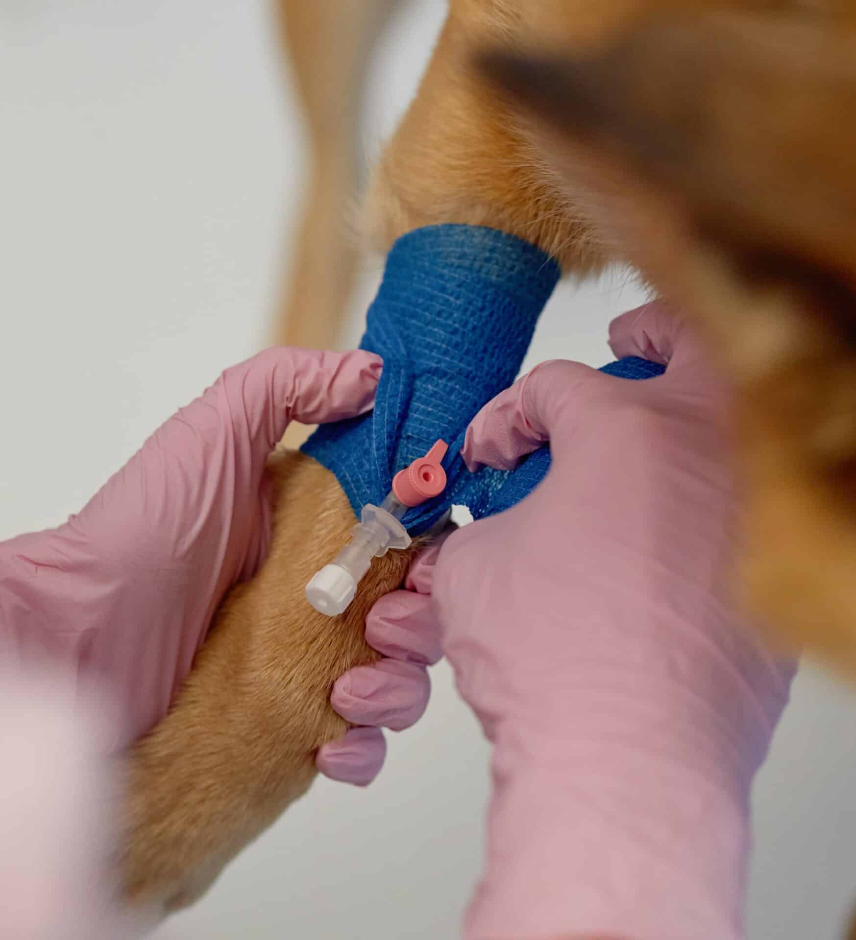 Urgent Care vs. Emergency Care